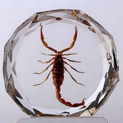 Creartec Zelený leštiaci krém, 50 ml