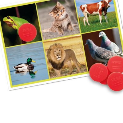 Akros Bingo Zvuky zvierat + mp3