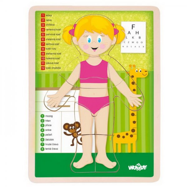 Woody Puzzle Ľudské telo Dievča, 12 dielikov