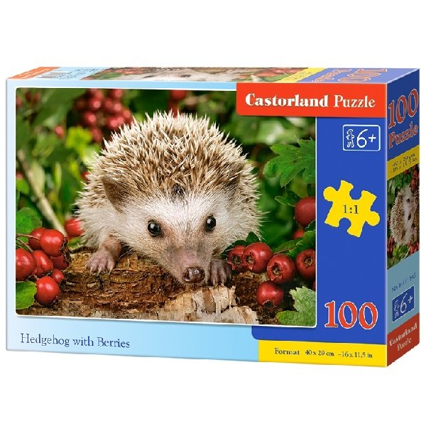 Castorland Puzzle Ježko, 100 dielikov
