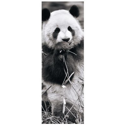 Dino Puzzle Panda v tráve panoramic, 1000 dielikov