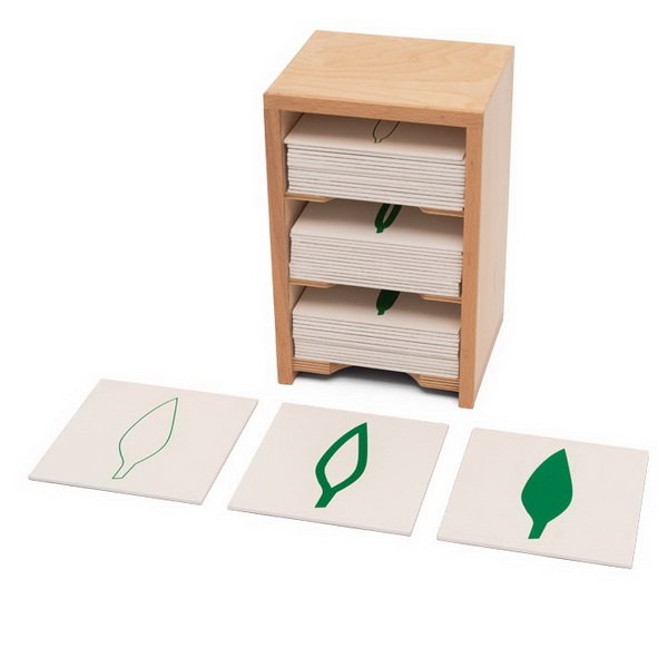 Montessori Skrinka s botanickými kartami, 42 ks