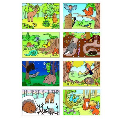 Vystrihovačka Začíname vystrihovať Zvieratká v lese 3+