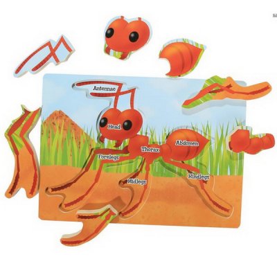 Insect Lore Drevené puzzle Mravec, 7 dielikov