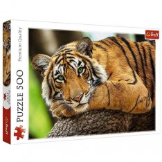 Trefl Puzzle Portrét tigra, 500 dielikov