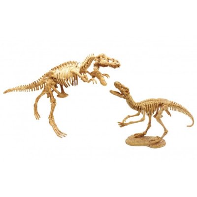 Buki Vykopávky predátorov 2v1 Tyranosaurus a Velociraptor