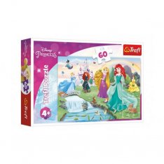 Trefl Puzzle Spoznajte Disney princezné, 60 dielikov