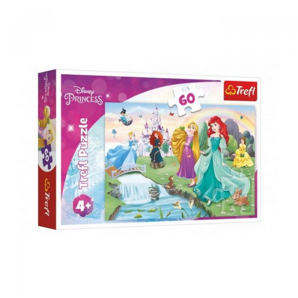 Trefl Puzzle Spoznajte Disney princezné, 60 dielikov
