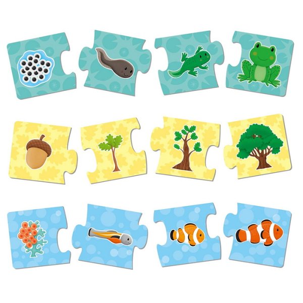 GALT Puzzle Ako rastú? 6v1
