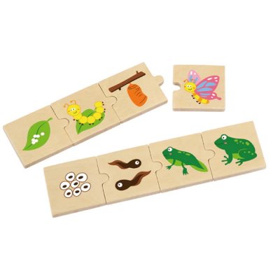 Viga Puzzle Evolúcia, 24 dielikov