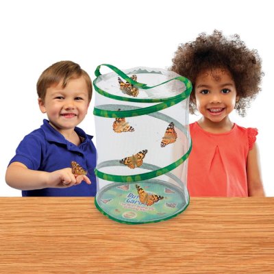 Insect Lore Motýlia záhradka 45 cm živá sada, 10 húseníc