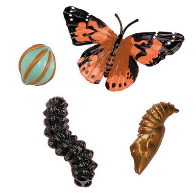 Insect Lore Motýlia záhradka 45 cm živá sada, 10 húseníc