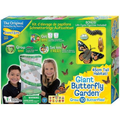 Insect Lore Motýlia záhradka 45 cm živá sada, 10 húseníc