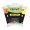 Cernit Neon Light 56g