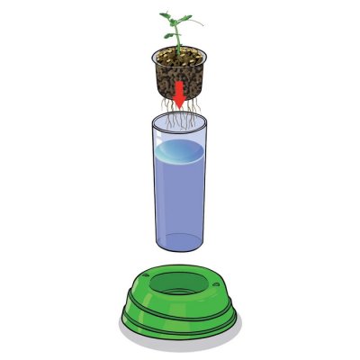 Clementoni Science Hydroponická botanika