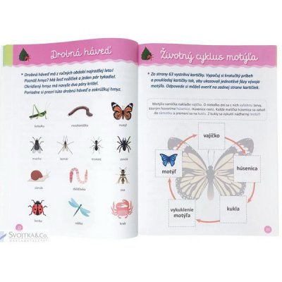 Moje malé objavy Montessori vo voľnom čase