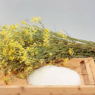 Efko Repkový vosk sypký, 1 kg