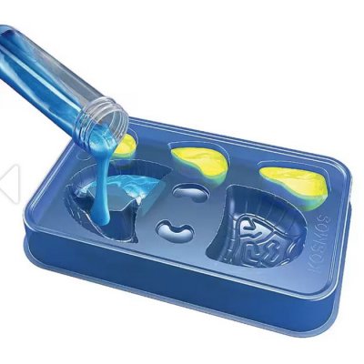 Kosmos Fun Science Slizké orgány
