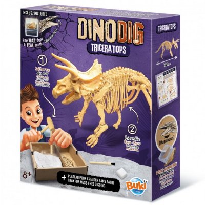Buki Vykopávky a kostra Triceratops
