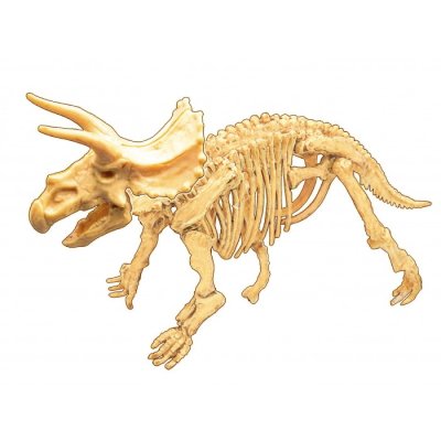 Buki Vykopávky a kostra Triceratops